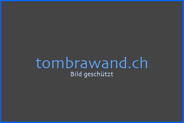 Comic-Skizze der Website BRAWANDS